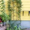 Achla Designs Waves Trellis -Garden Care Store 8599491 01V tif