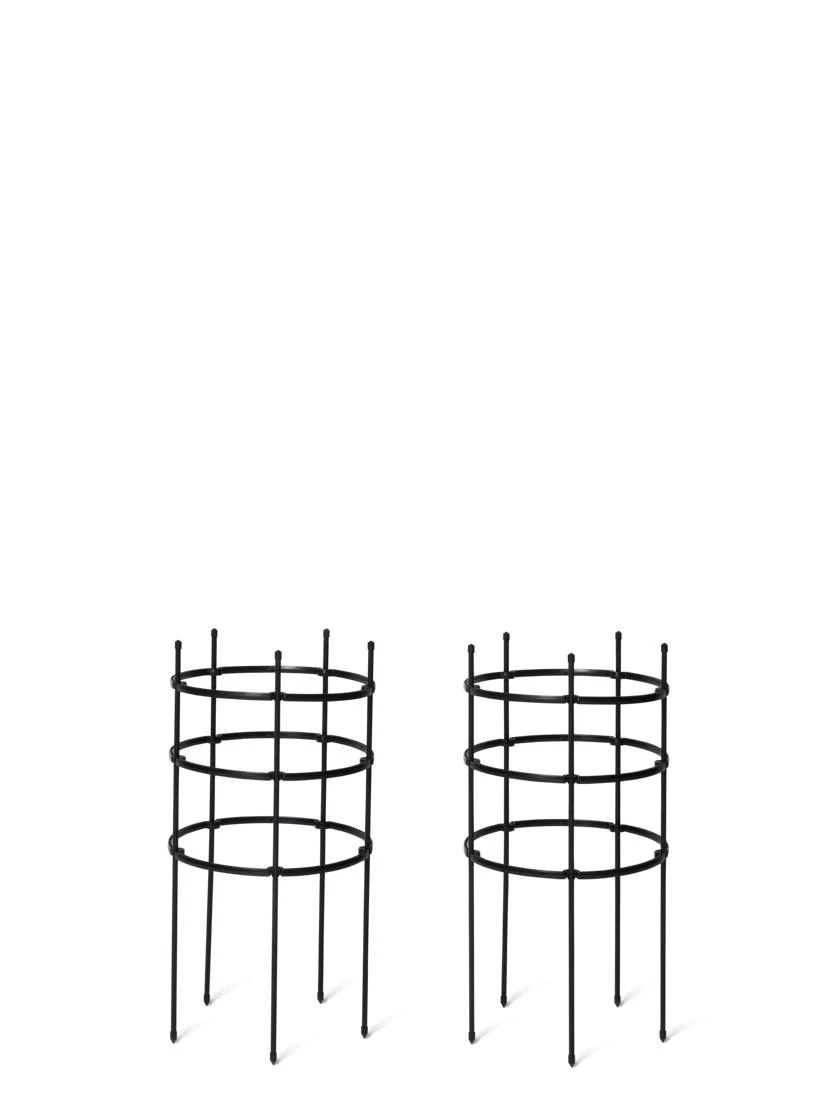 Titan Peony Supports, Large, Set Of 2 4 Titan Peony Supports, Large, Set Of 2 - Image 2