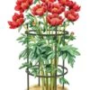 Titan Peony Supports, Medium, Set Of 2 -Garden Care Store 8599858 0001 art tif