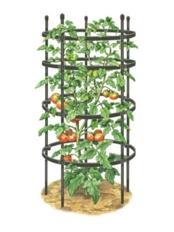 Titan Tomato Cages, Set Of 3 13 Titan Tomato Cages, Set Of 3 -Garden Care Store 8599861 0001 art tif