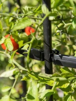 Titan Tall Tomato Cages, Set Of 3 -Garden Care Store 8599861 0079 tif 1