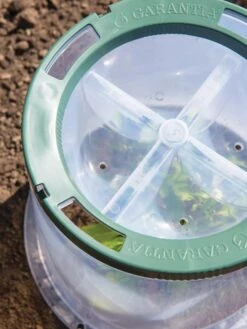 Sunny Forcing Cloches, Set Of 3 -Garden Care Store 8600075 0742 tif