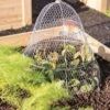 Chicken Wire Cloche With Extension -Garden Care Store 8600116 0482 tif