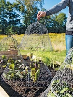 Chicken Wire Cloche With Extension -Garden Care Store 8600116 0604 3 4