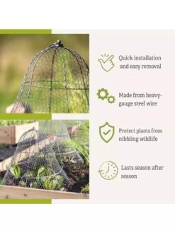 Chicken Wire Cloche With Extension -Garden Care Store 8600116 3