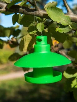 Slug And Snail Traps, Set Of 3 -Garden Care Store 8600120 1792