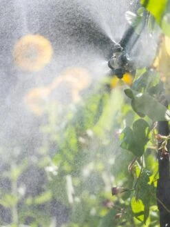 Landscape 4-Way Cooling Mist Kit, 50' -Garden Care Store 8600154 0695 tif