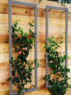 Ina Modern Wall Trellis Sr. 12 Ina Modern Wall Trellis Sr. -Garden Care Store 8600510 08V jpg