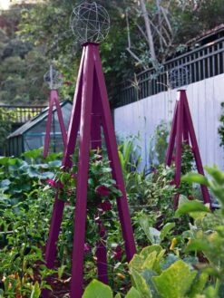 Akoris Garden Tuteur Jr. 15 Akoris Garden Tuteur Jr. -Garden Care Store 8600517 01V akoris garden tuteur tif 1