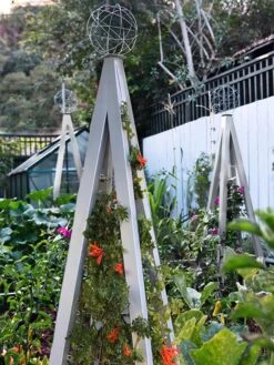 Akoris Garden Tuteur Jr. 14 Akoris Garden Tuteur Jr. -Garden Care Store 8600517 07V tif