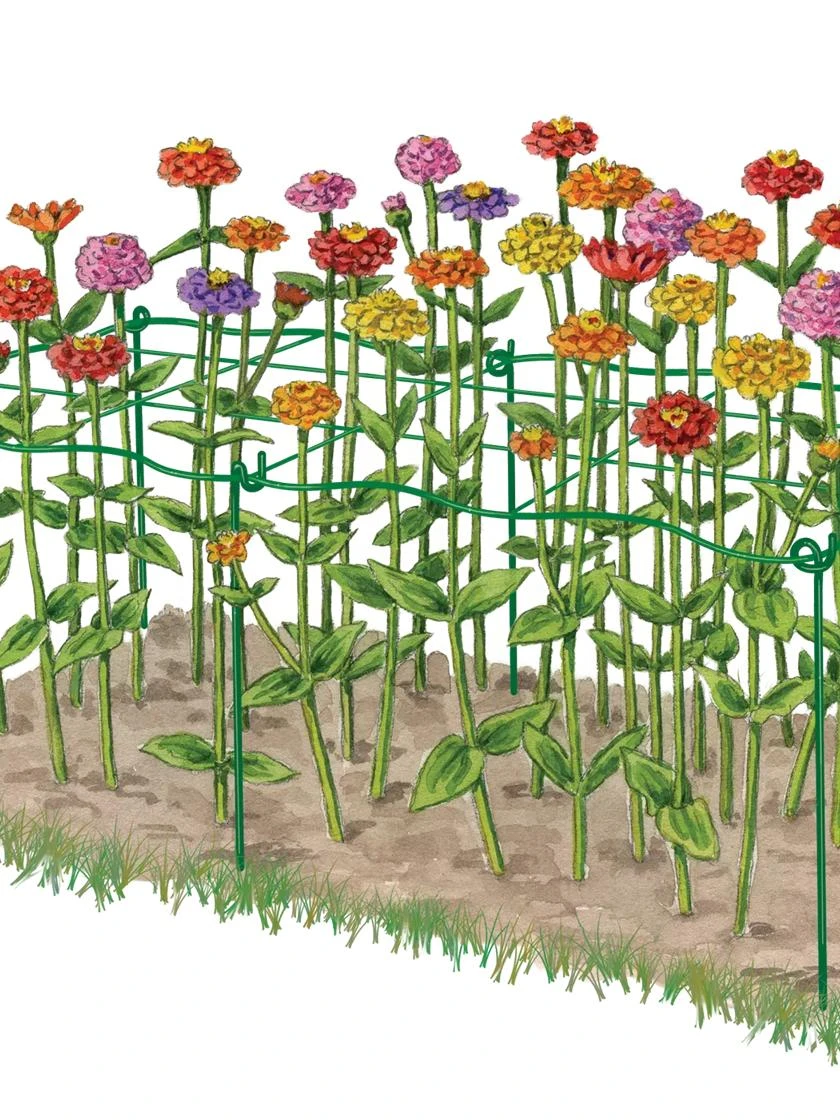 Cut Flower Grid Support, Set Of 2 6 Cut Flower Grid Support, Set Of 2 - Image 4