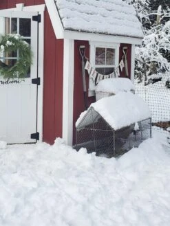 Chicken Wire Crop Coop 24 Chicken Wire Crop Coop -Garden Care Store 8609080 03IN tif