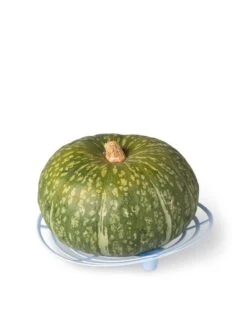 Melon And Squash Cradles, Set Of 6 -Garden Care Store 8609464 5204 tif