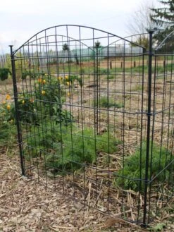 Garden Care Store -Garden Care Store 8609510 5235 tif