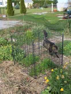 Garden Care Store 32 4 Panel Critter Fence