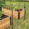 6 Panel Critter Fence With Gate 2 6 Panel Critter Fence With Gate -Garden Care Store 8609844 8458 6 panel critter fence with gate 3 4