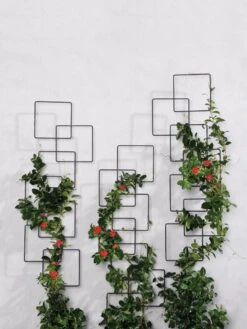 Building Blocks Wall Trellis, 45" -Garden Care Store 8610183 5811 tif