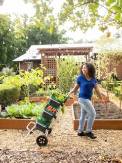 Mod Hod Trolley With Teal Mod Hods 9 Mod Hod Trolley With Teal Mod Hods -Garden Care Store 8610240 0070 tif