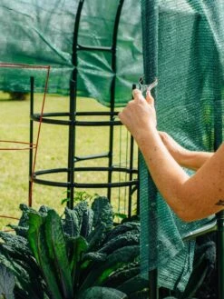 Maxi Garden Hoops With Clips 14 Maxi Garden Hoops With Clips -Garden Care Store 8610372 368 tif