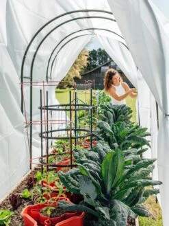 Maxi Garden Hoops With Clips 13 Maxi Garden Hoops With Clips -Garden Care Store 8610373 377 tif