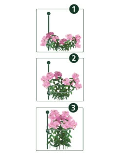 Peacock Mini Plant Support Rings 4", Set Of 2 -Garden Care Store 8610383 07v