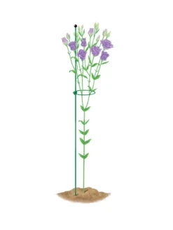 Peacock Mini Plant Support Rings 4", Set Of 2 -Garden Care Store 8610386 peacock4x36