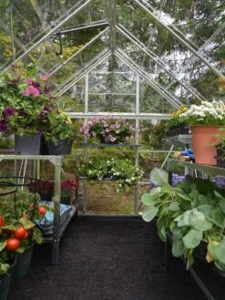 Canopia® By Palram Harmony™ Greenhouse, 6' X 14' -Garden Care Store 8610563 03V jpg