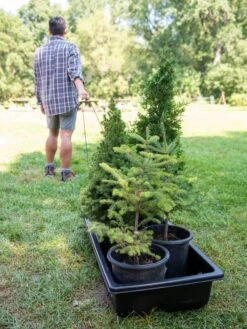 Gardener's Summer Sled And Cover 9 Gardener's Summer Sled And Cover -Garden Care Store 8611044 229 tif