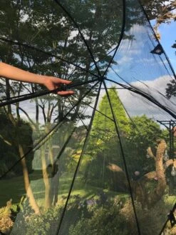 GardenSkill Pop N Crop Plant Umbrella -Garden Care Store 8611105 09V tif