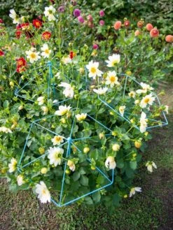 New Arrival -Garden Care Store 8611129 004 tif