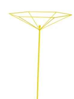 Parasol Plant Supports, Set Of 3 16 Parasol Plant Supports, Set Of 3 -Garden Care Store 8611129 3844 tif