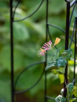 Garden Care Store -Garden Care Store 8611658 026 tif