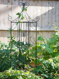 Garden Care Store 34 4 Sided Leaf Obelisk, 72"