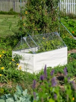 Crop Coop Covers Set -Garden Care Store 8611698 005 tif