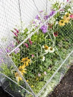 Chicken Wire Flat Back Crop Coop -Garden Care Store 8611701 153 tif