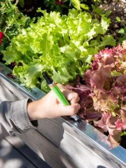 Re-Markable Raised Bed Trim -Garden Care Store 8611758 301 tif