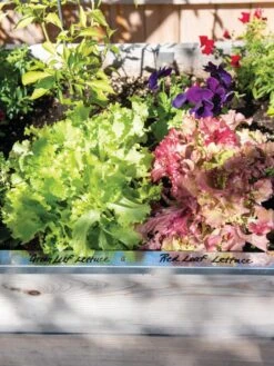 Re-Markable Raised Bed Trim -Garden Care Store 8611758 306 tif