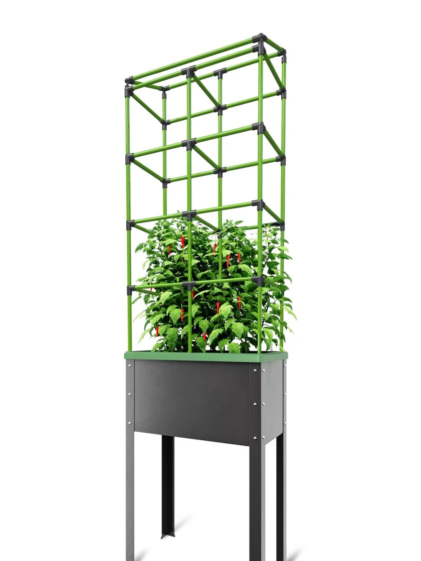 City Jungle® Tomato Trellis Extension Kit 4 City Jungle® Tomato Trellis Extension Kit - Image 2