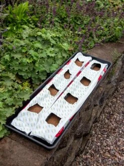 Berry Blend Coir Grow Bag, Set Of 2 -Garden Care Store 8611968 361 tif