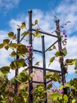 Essex Square Obelisk -Garden Care Store 8611984 354 tif