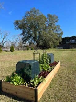 Pest Control Pop-Ups -Garden Care Store 8611989 08 tif