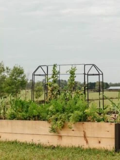 Zenith Trellis -Garden Care Store 8612035 549 tif