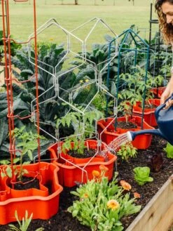 Garden Care Store -Garden Care Store 8612045 161 tif