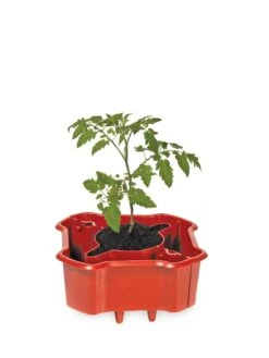 Garden Care Store 8 Deluxe Tomato Halos, Set Of 2