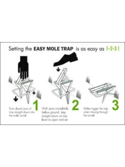 Easy Mole Trap -Garden Care Store 8612557 04v 1