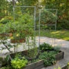 Chicken Wire Pea Trellis -Garden Care Store 8612718 7313 chicken wire pea trellis