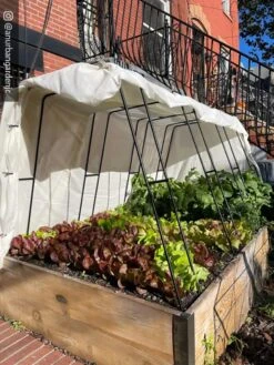 Zenith Garden Hoops, Set Of 4 15 Zenith Garden Hoops, Set Of 4 -Garden Care Store 8612816 01CUST 1