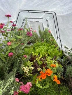 Zenith Garden Hoops, Set Of 4 14 Zenith Garden Hoops, Set Of 4 -Garden Care Store 8612816 01TEST 1