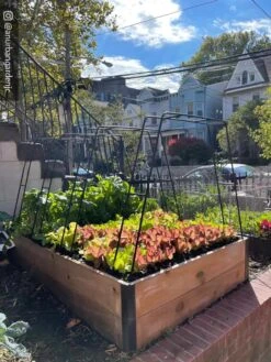 Zenith Garden Hoops, Set Of 4 16 Zenith Garden Hoops, Set Of 4 -Garden Care Store 8612816 02CUST