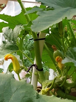 Farmyarn® Multipurpose Garden Tie, 2 Pack -Garden Care Store 8612948 01v